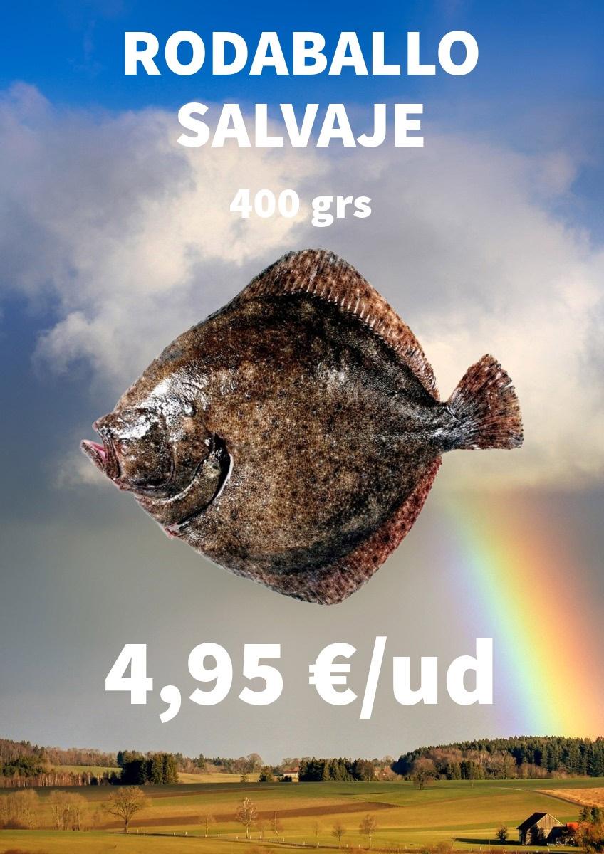 RODABALLO SALVAJE RACION