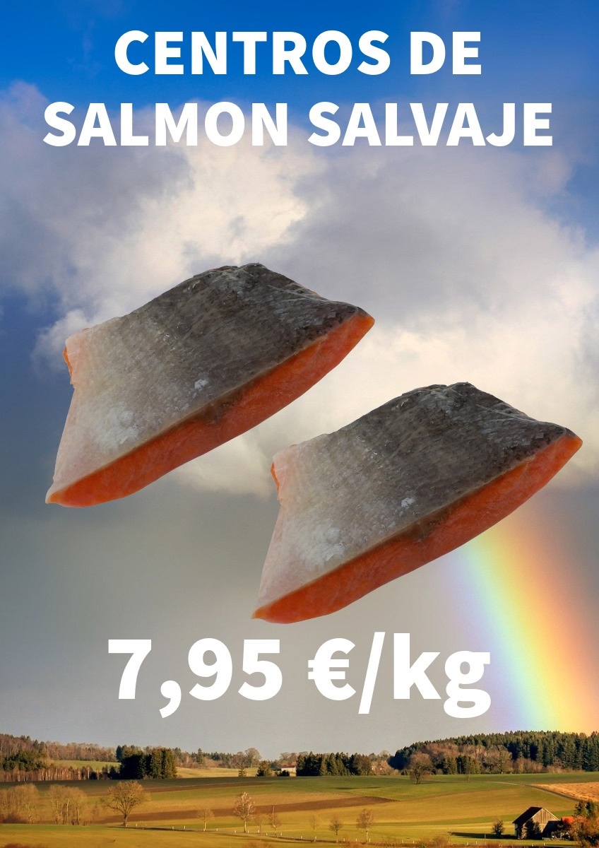 PORCIONES SALMON