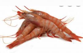 Alistado de huelva 12/14 piezas 